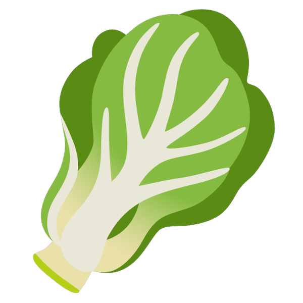 Cabbage