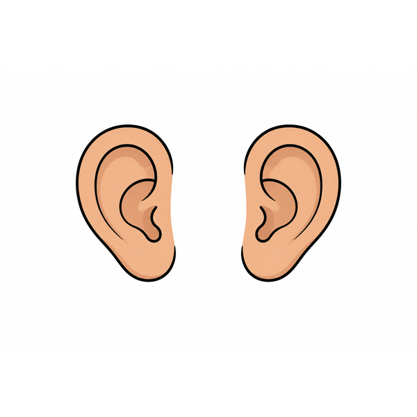 Ears