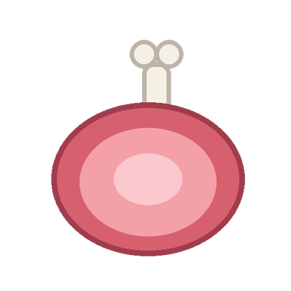 Ham