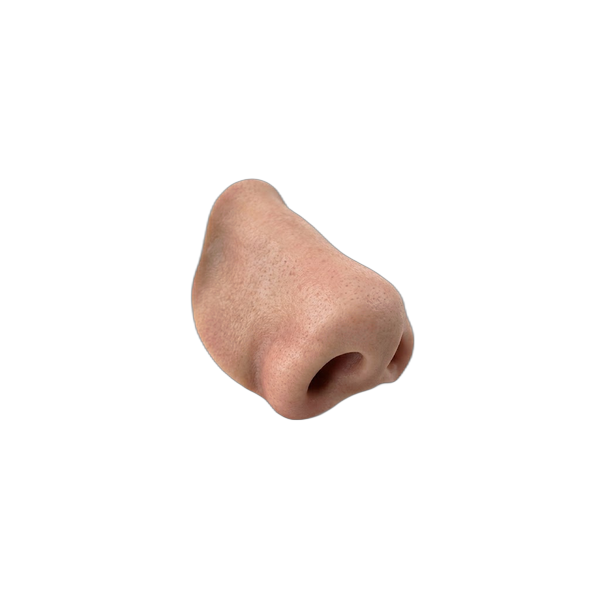 Nose