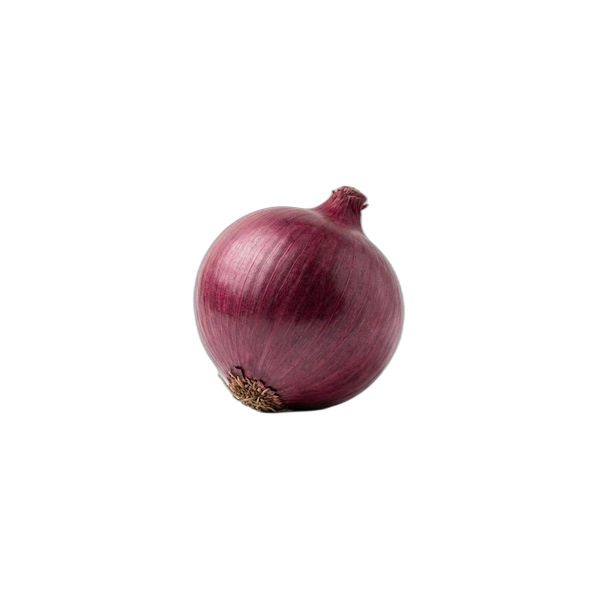 Onion