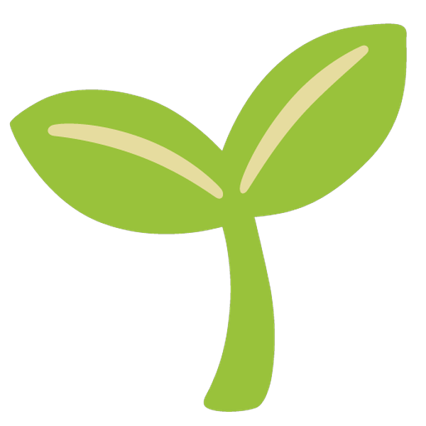 Seed
